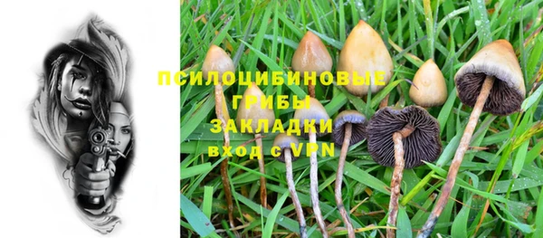 синтетический гашиш Арсеньев