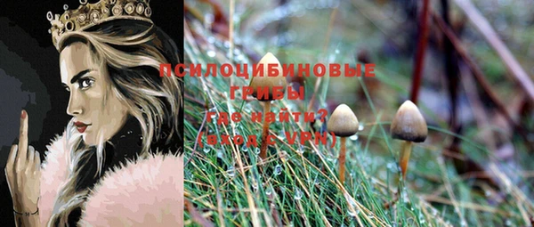 синтетический гашиш Арсеньев